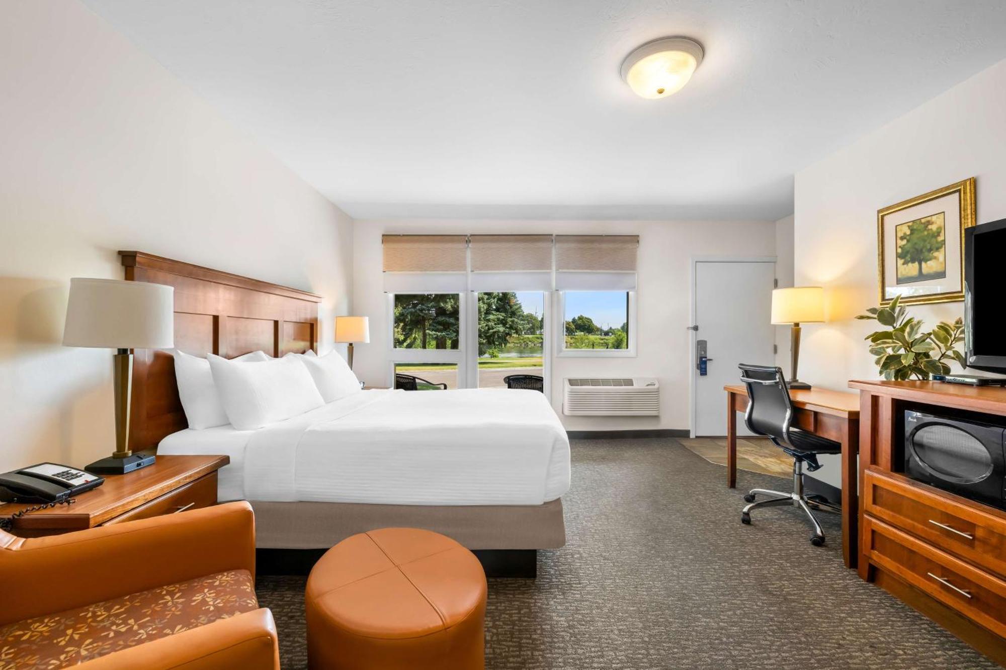 Hotel Western Driftwood