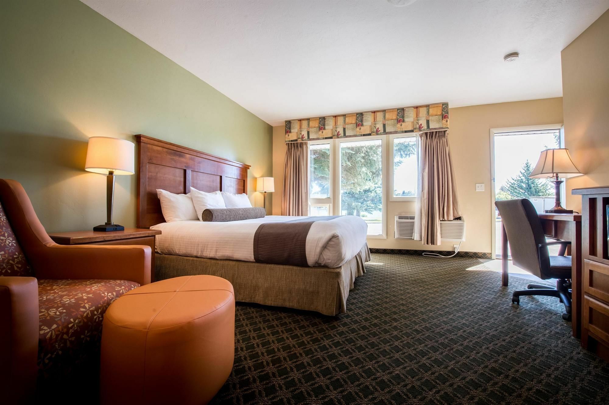 Hotel Western Driftwood